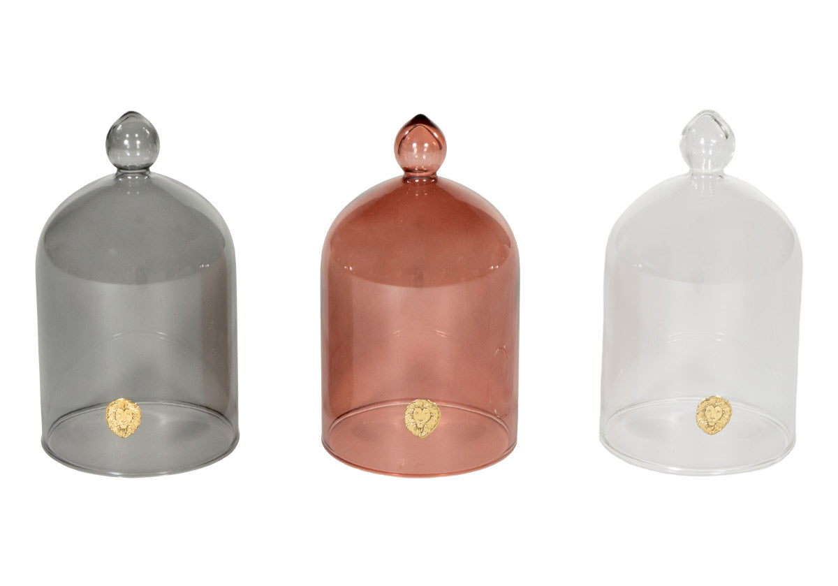 GLASS CLOCHE