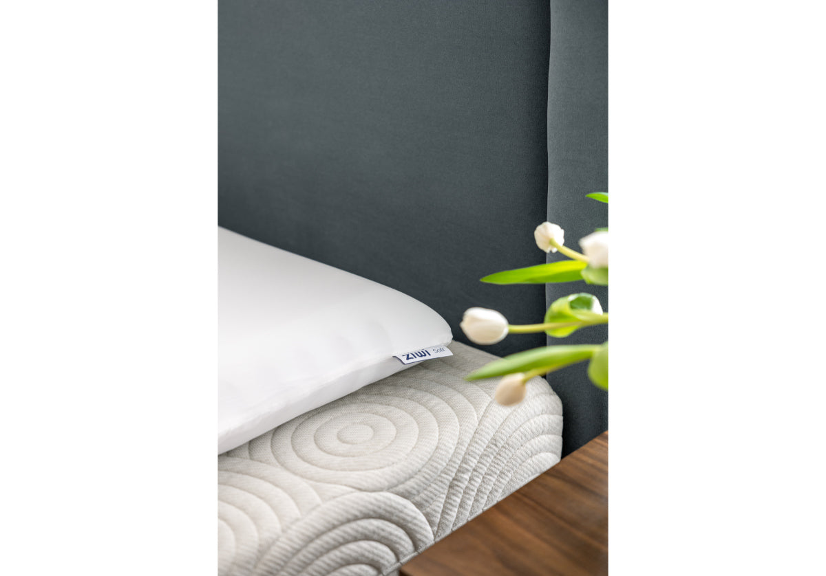 ZiPP PILLOW