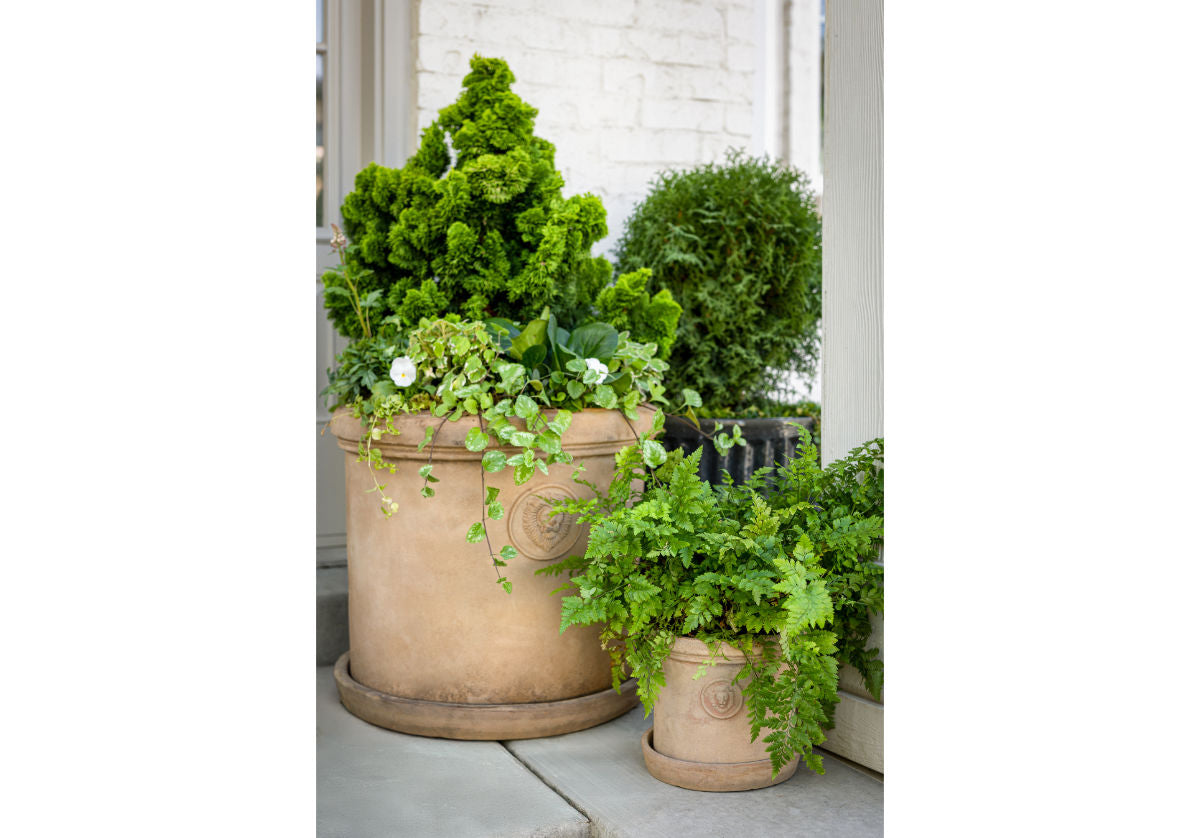 TERRACOTTA LION PLANTERS