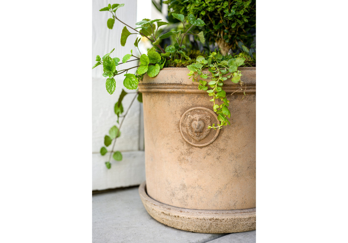 TERRACOTTA LION PLANTERS
