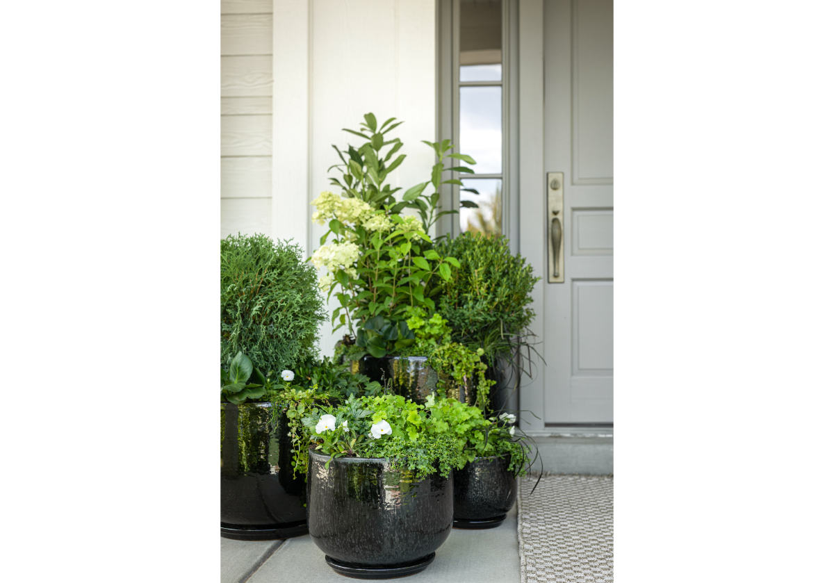 BLACK CERAMIC PLANTER | Set of 4 | Hand Glazed Ebony