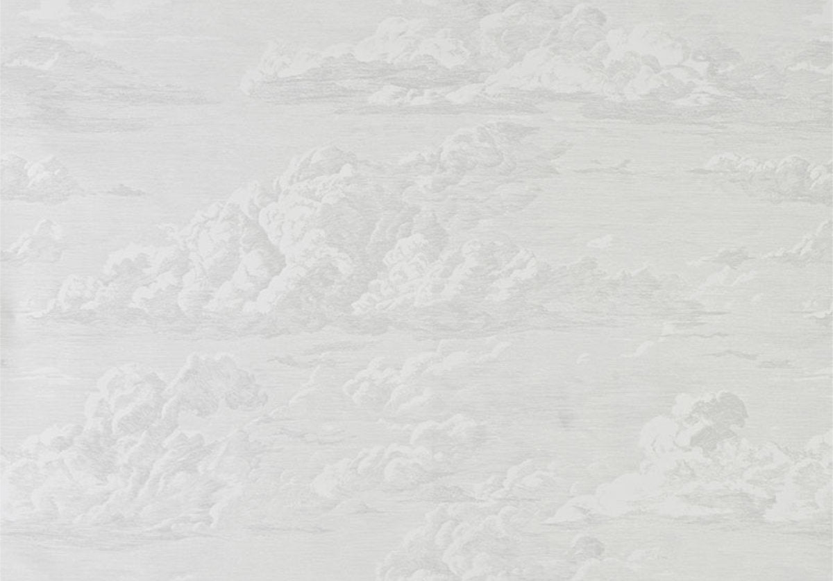 CLOUD TOILE