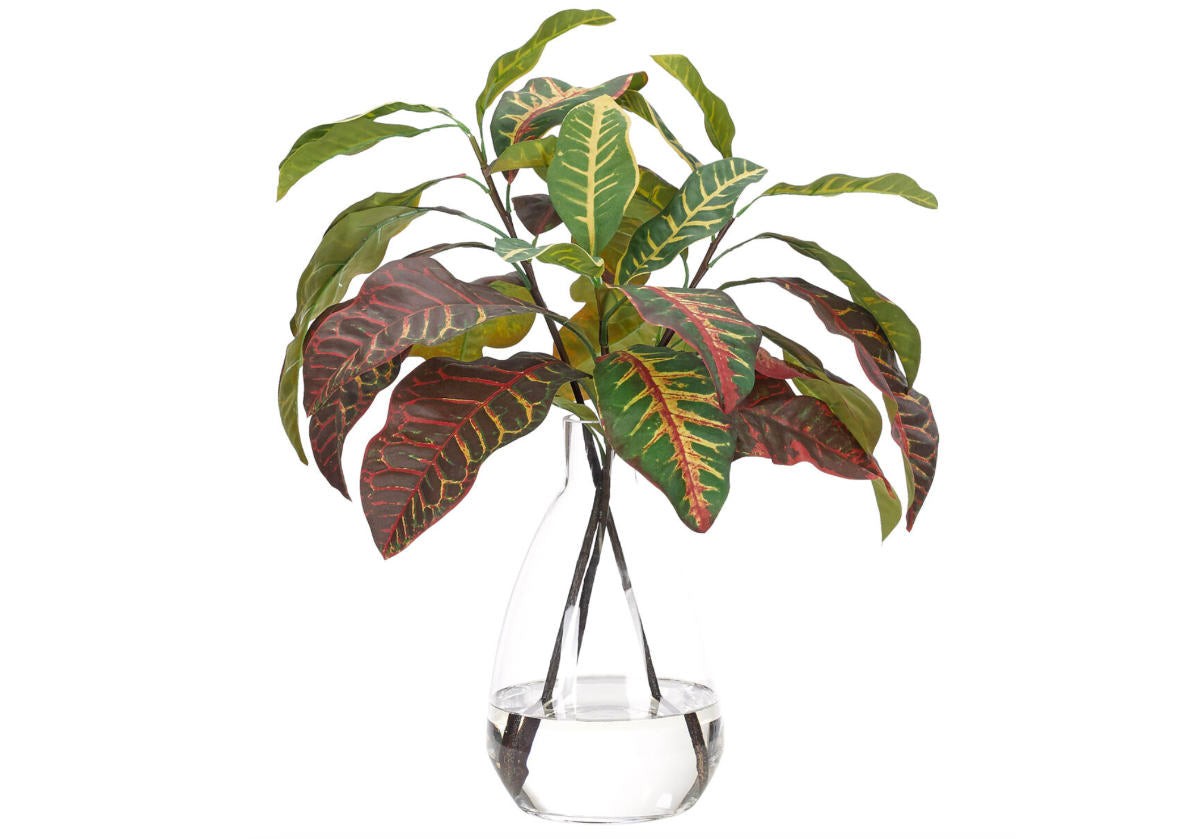 CROTON