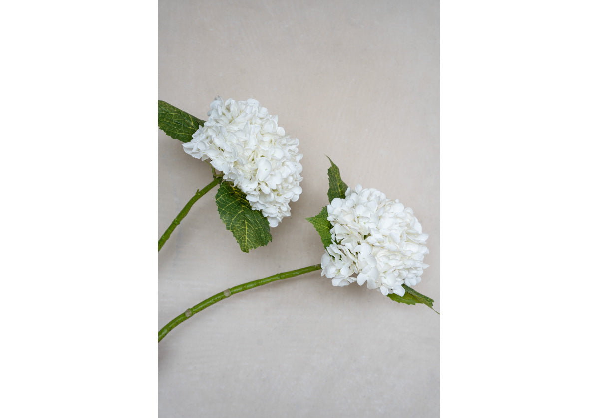 HYDRANGEA STEM | White