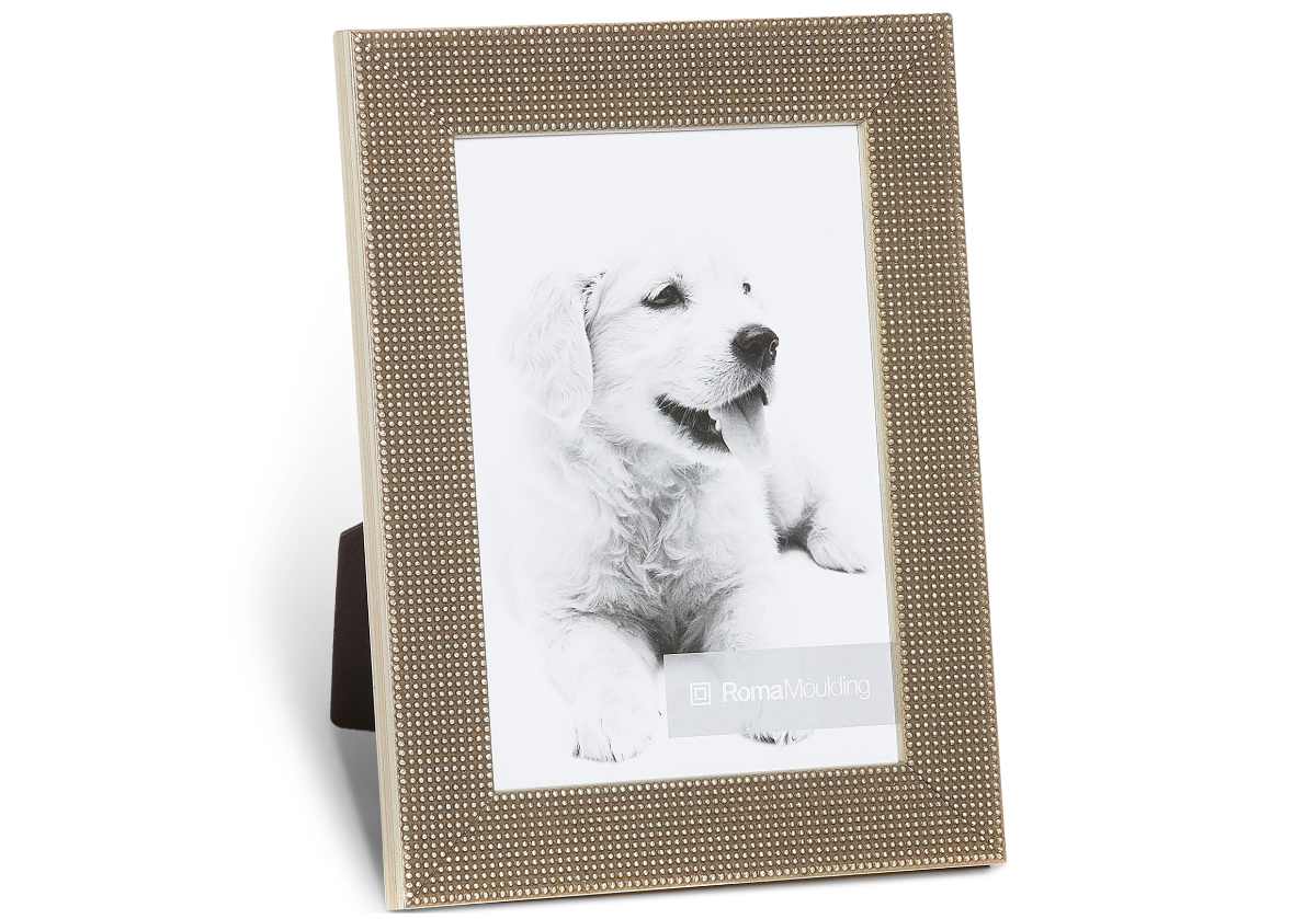 LA CONTESSA SILVER LEAF FRAME