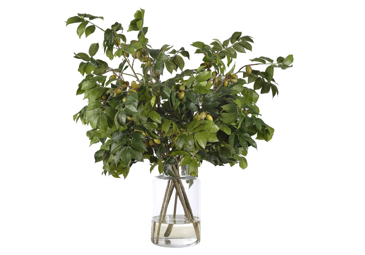 OLIVE BRANCH IN VASE