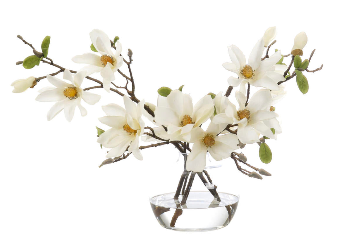 WHITE MAGNOLIA