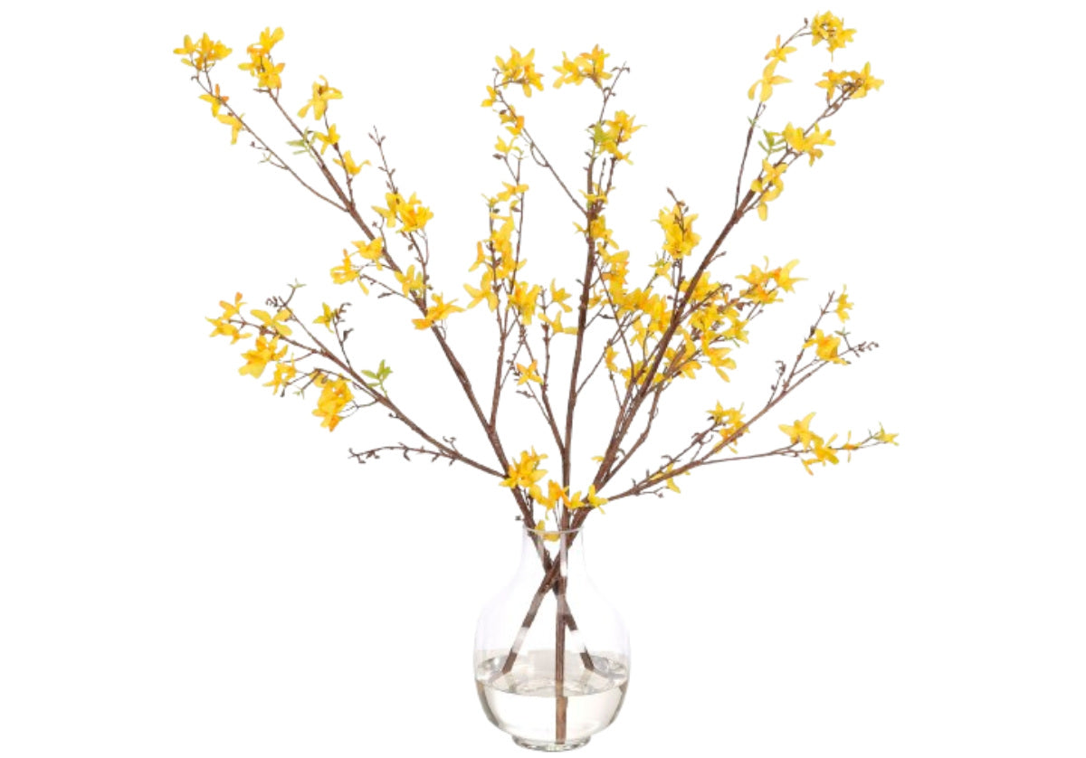 YELLOW FORSYTHIA | 30"