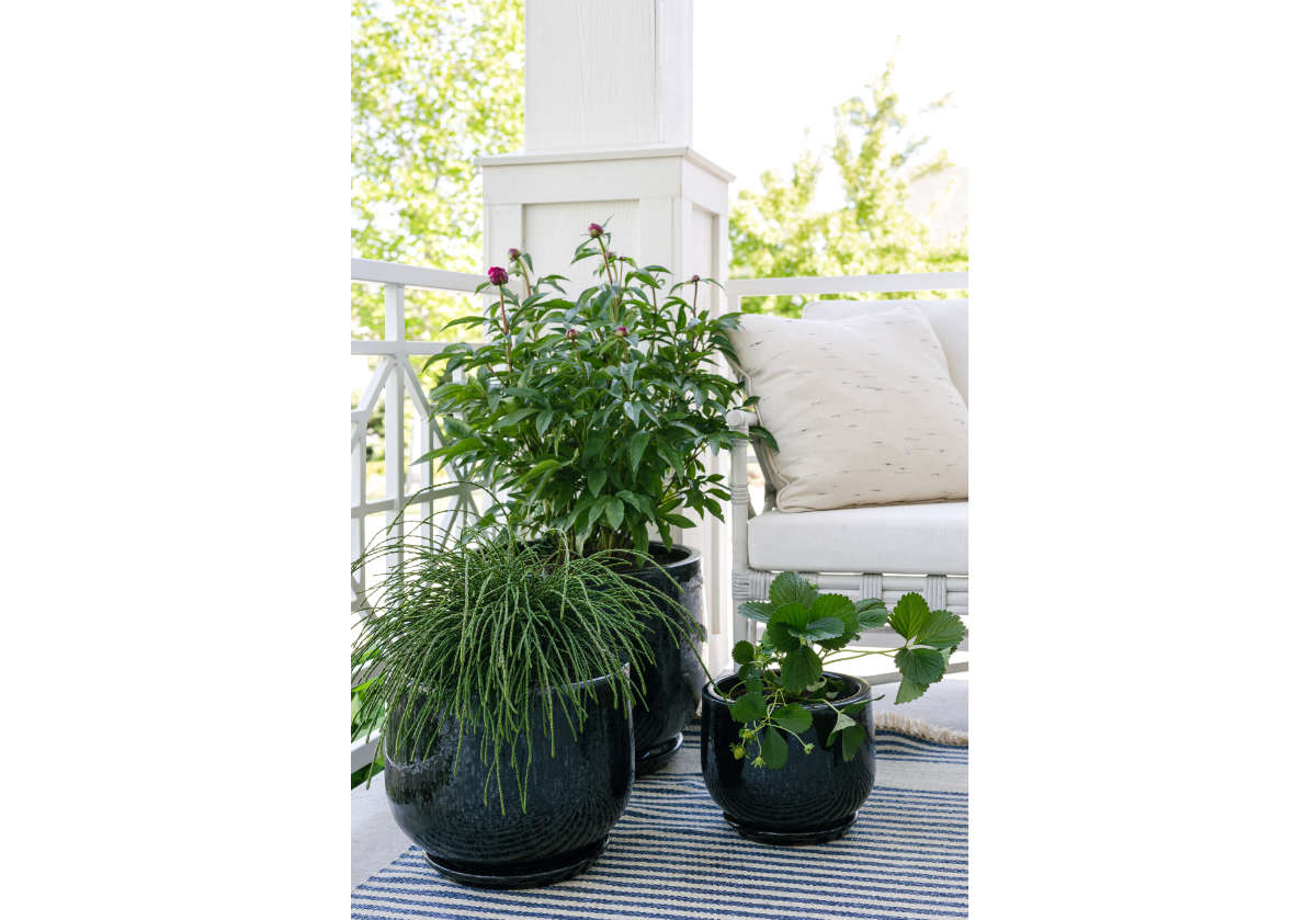BLACK CERAMIC PLANTER | Set of 4 | Hand Glazed Ebony