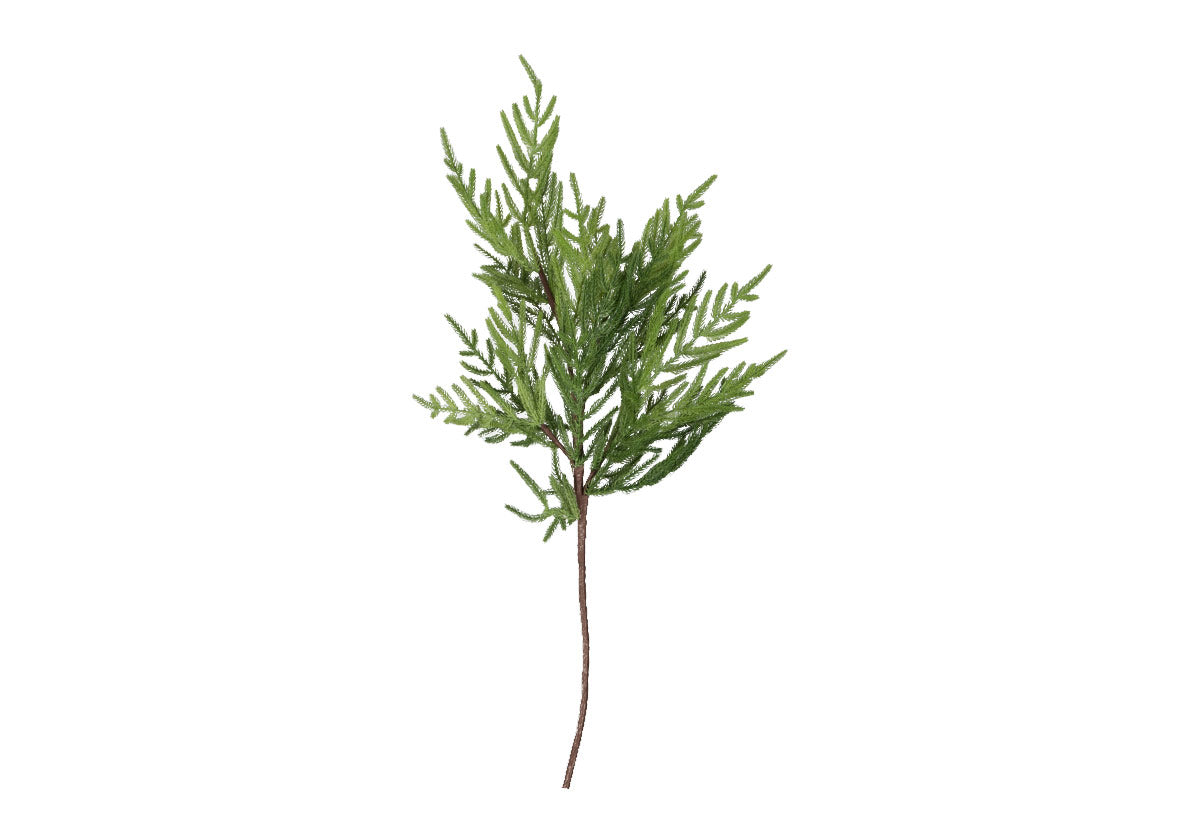 GRADIENT FIR STEM