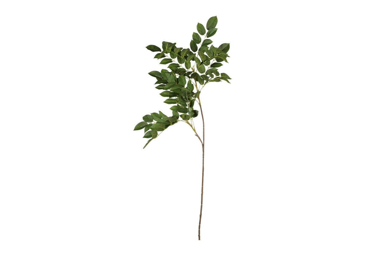 GREENWOOD STEM