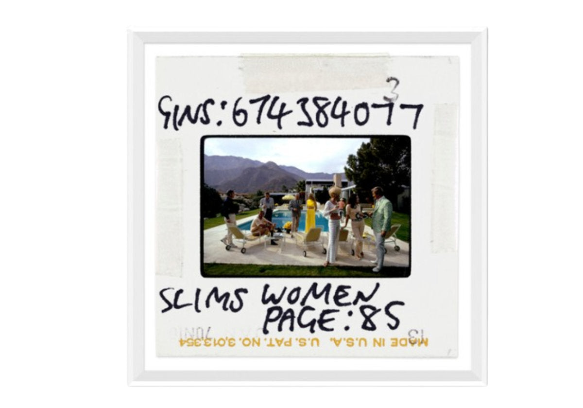 DESERT HOUSE PARTY | Slide