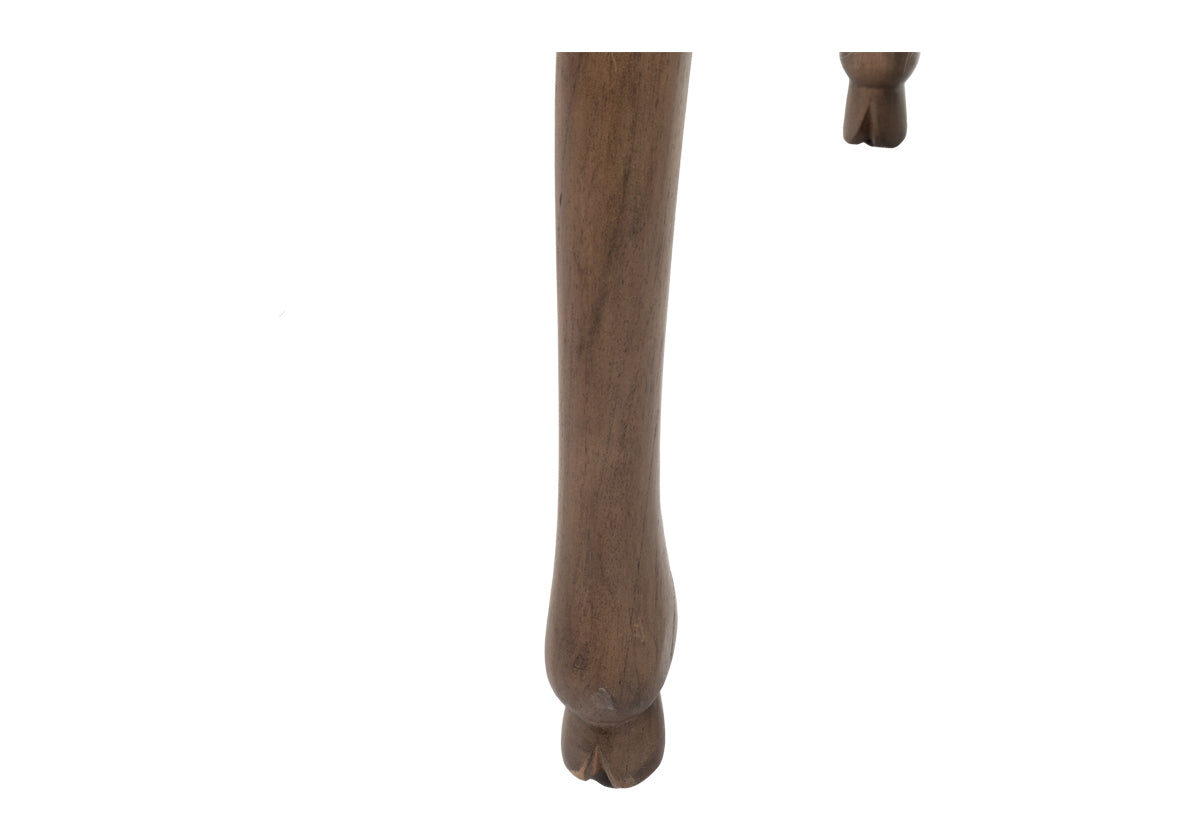 close up of fifi stool hoof/leg.