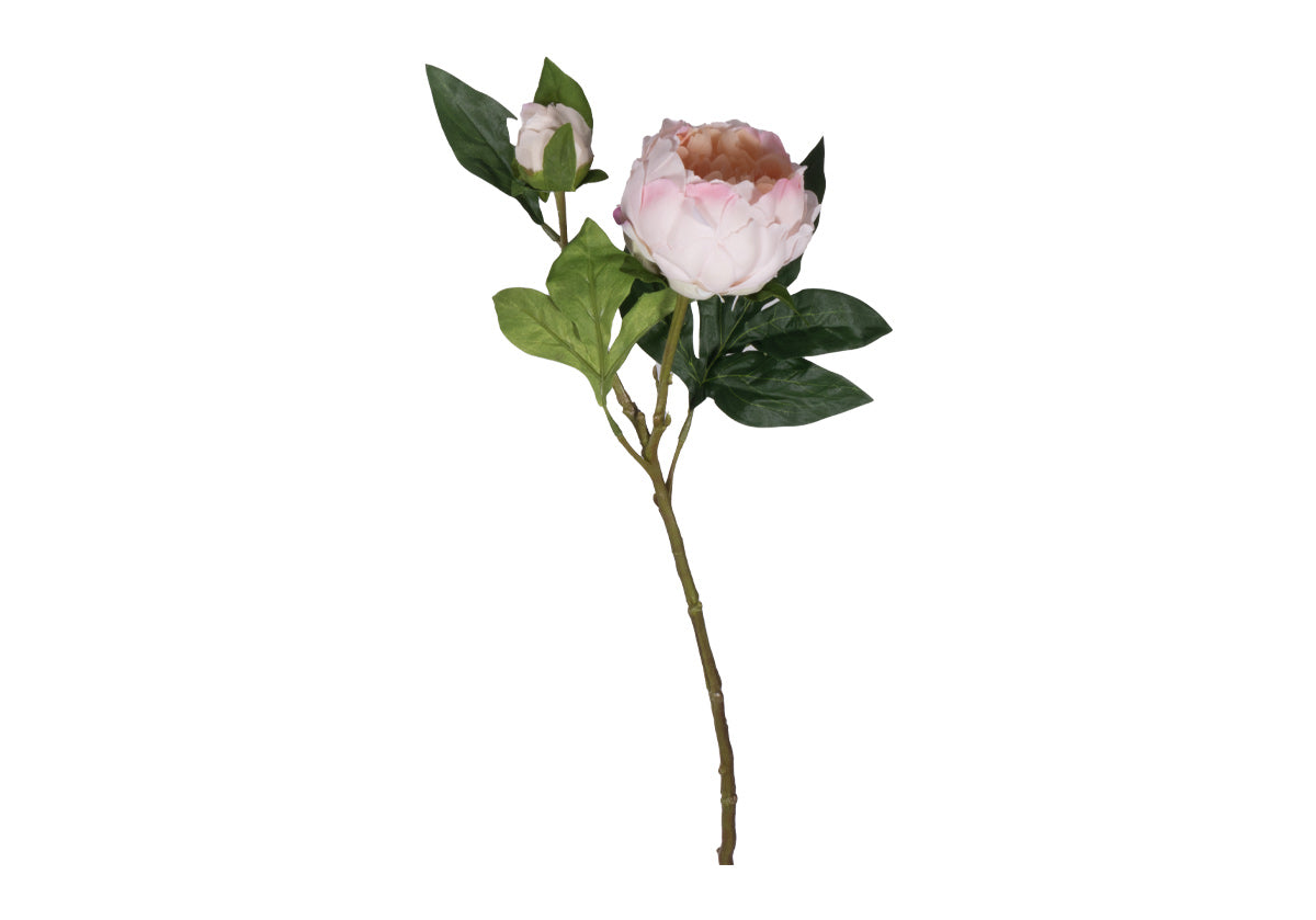 PEONY STEM | White & Pink