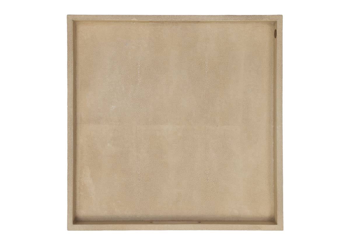 SHAGREEN LACQUERED TRAY