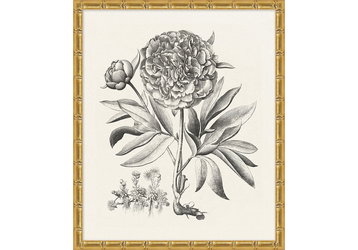 BESSLER STUDY IN NEUTRAL