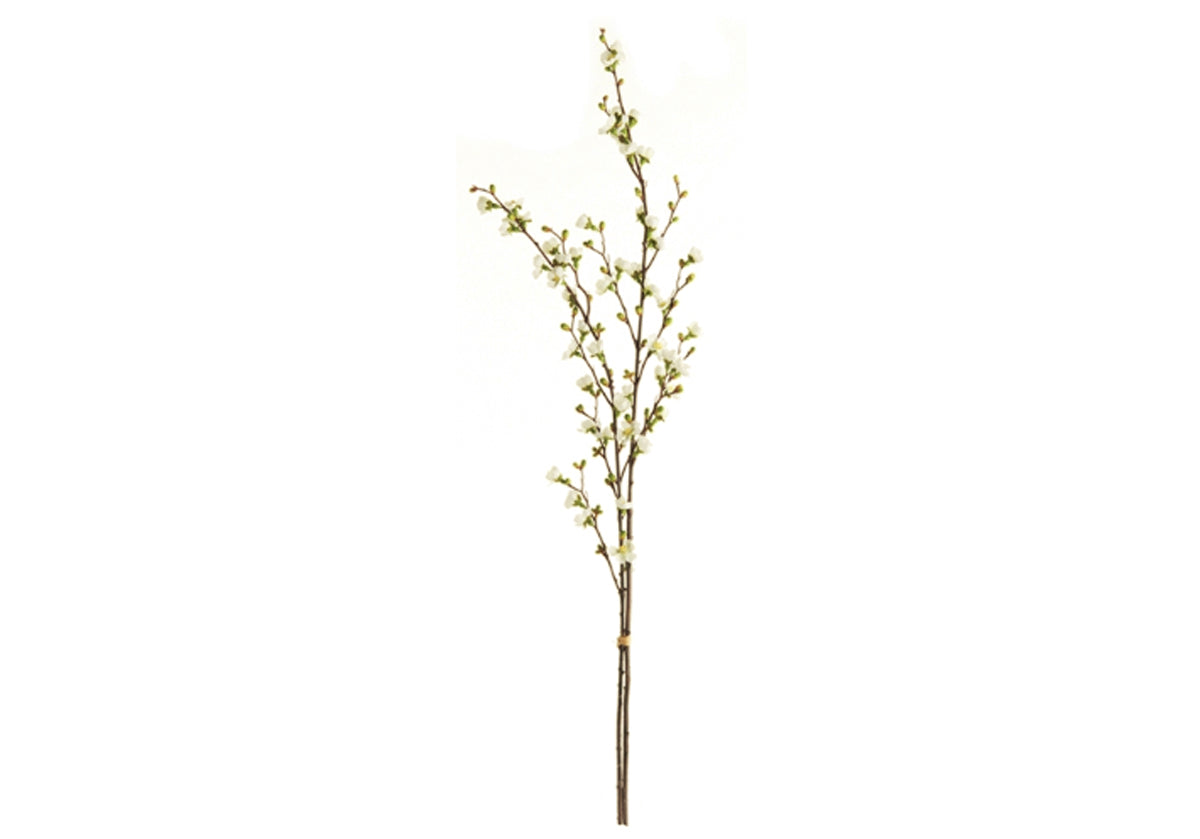 QUINCE BLOSSOM BUNDLE