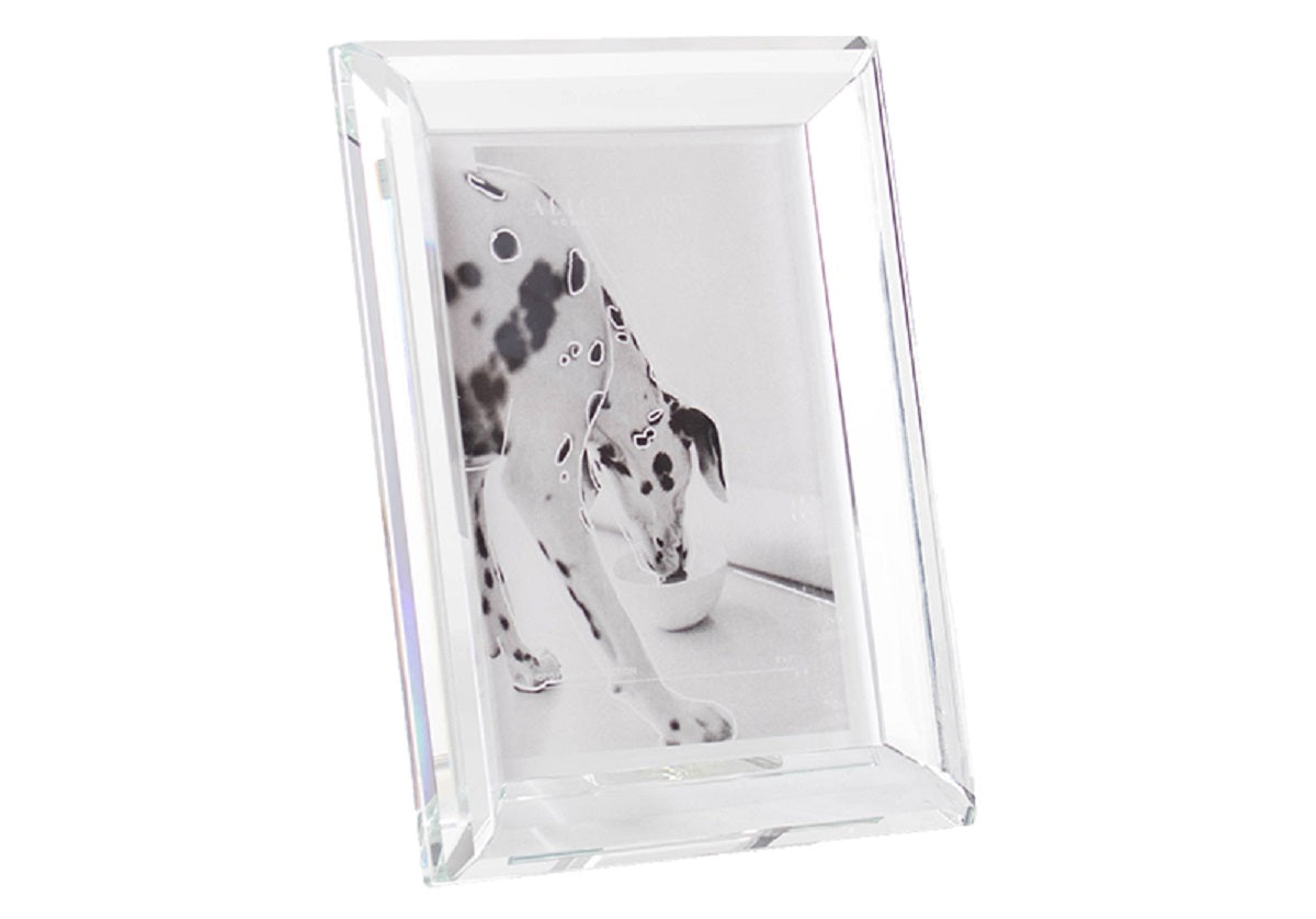 90 degree angle of the crystal edge frame with a dog inside of it.