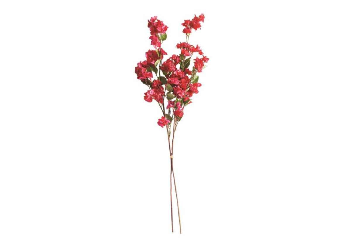 BOUGAINVILLEA STEMS | Set of 2