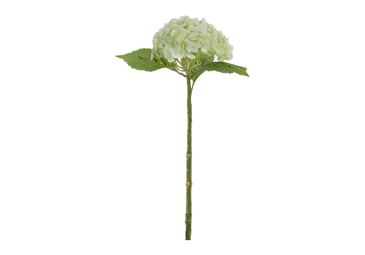 HYDRANGEA STEM | Limelight