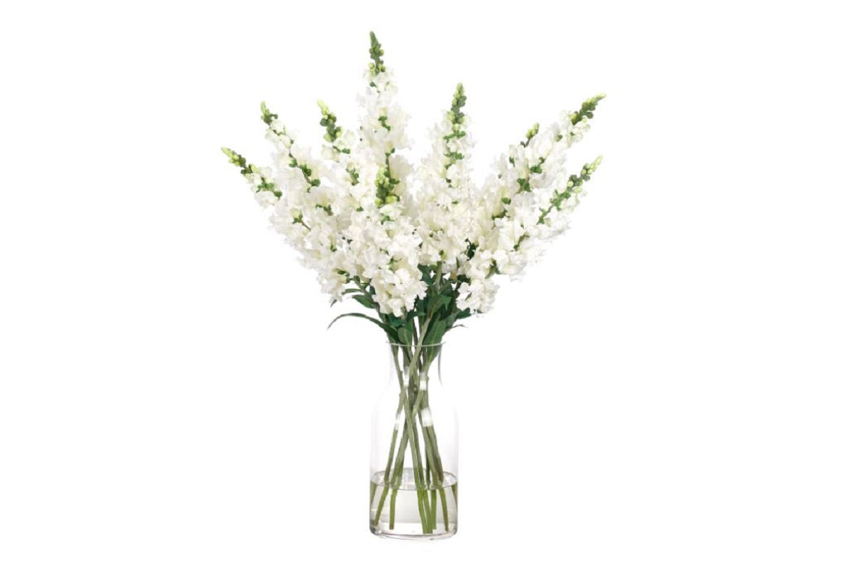 WHITE SNAPDRAGON IN GLASS VASE