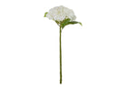 HYDRANGEA STEM | White