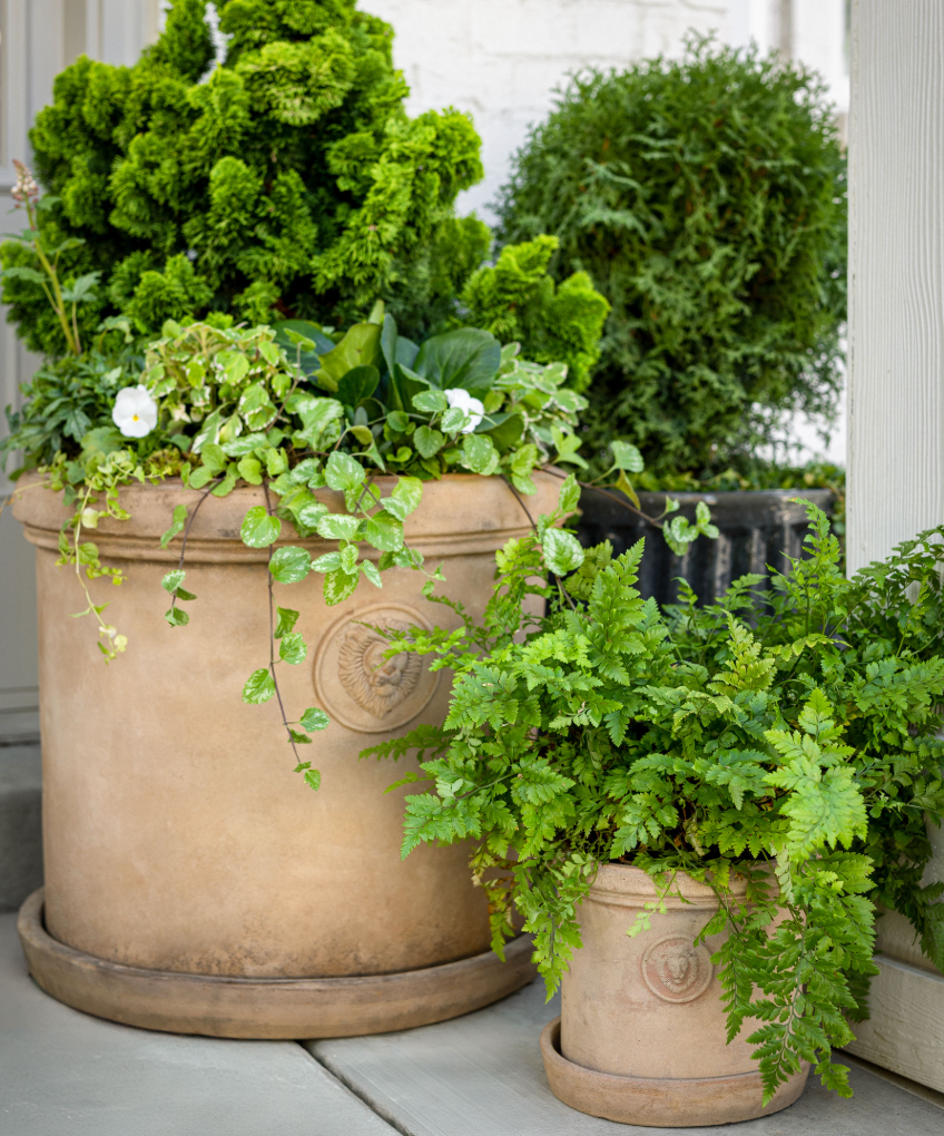 THE GARDEN ROOM COLLECTION