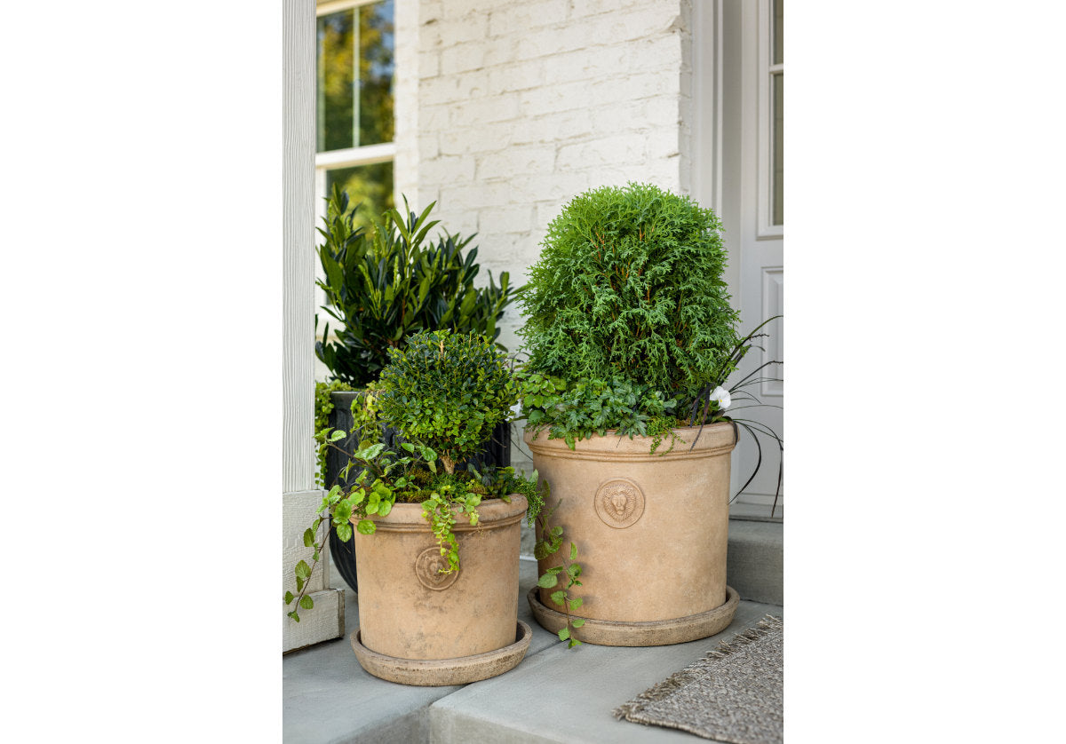 TERRACOTTA LION PLANTERS