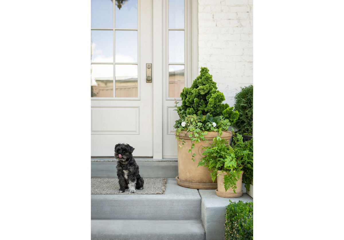 TERRACOTTA LION PLANTERS