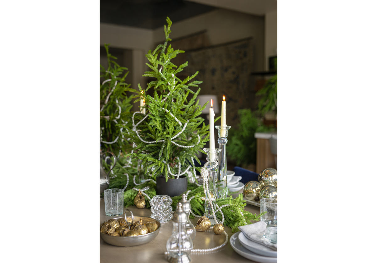 FIR TREE | Petite