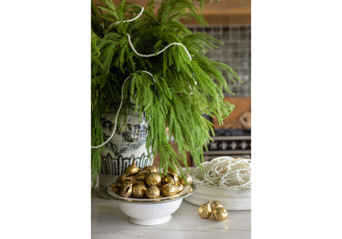 EVERGREEN FIR STEM