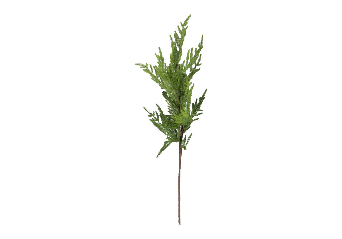 GRADIENT FIR STEM