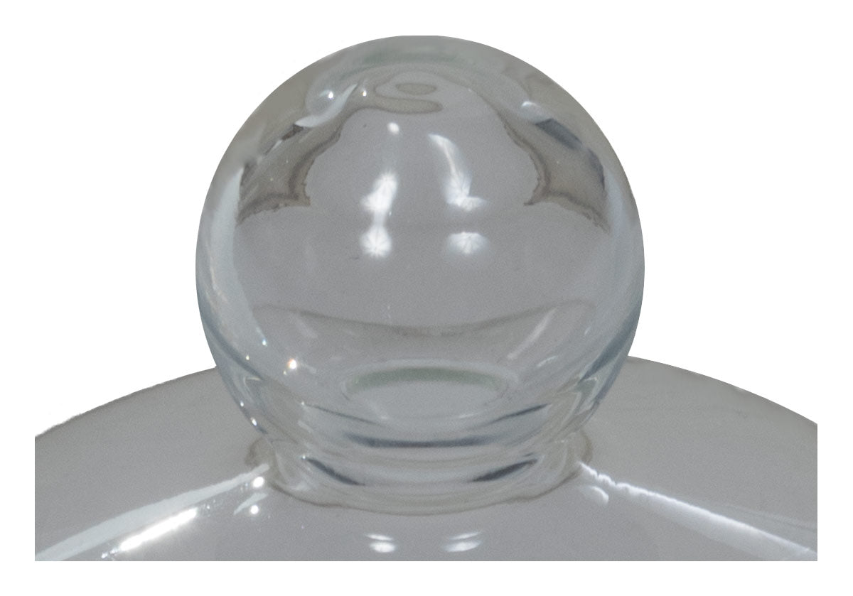 GLASS CLOCHE