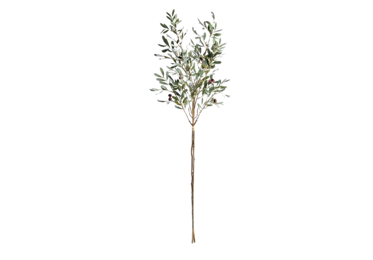 OLIVE BRANCHES | Set of 2