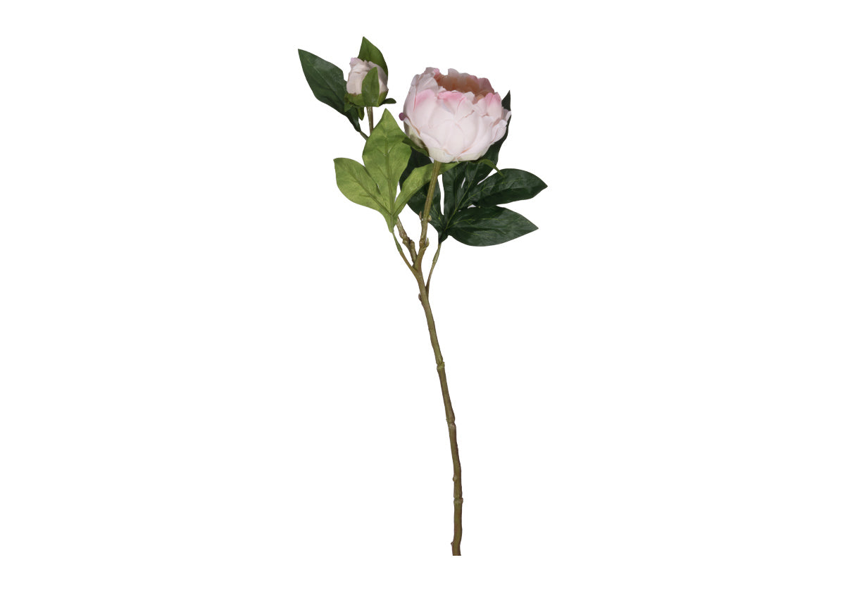 PEONY STEM | White & Pink