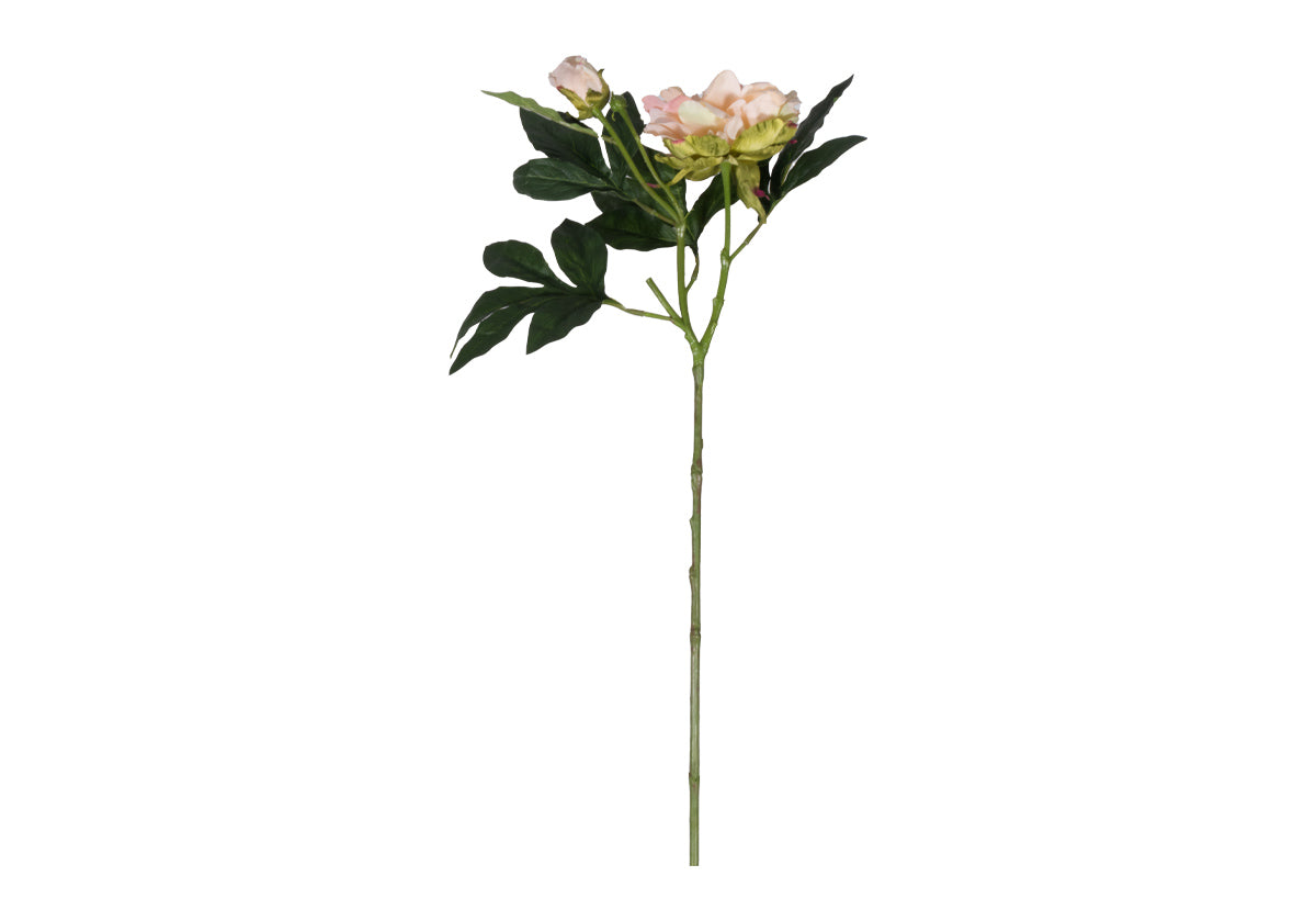 PEONY STEM | Ivory & Pink