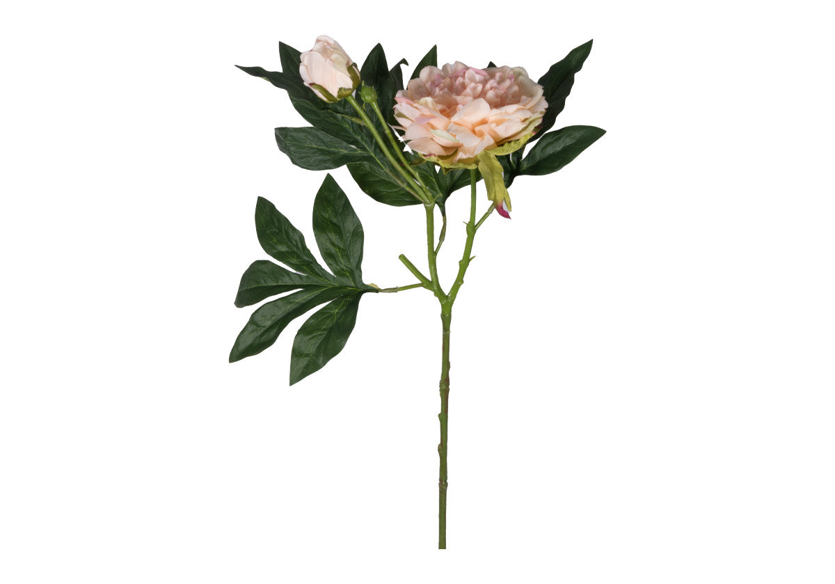 PEONY STEM | Ivory & Pink