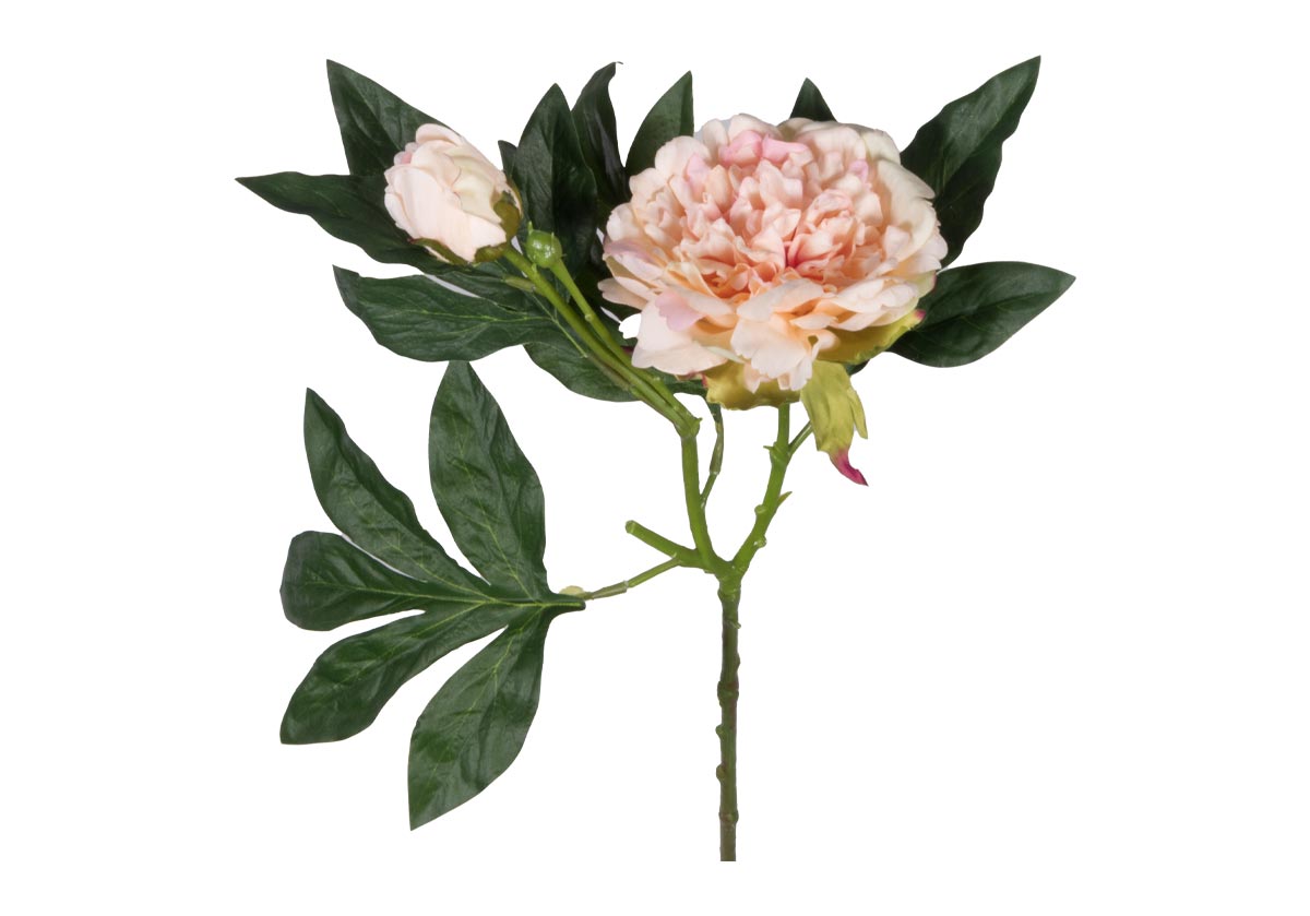 PEONY STEM | Ivory & Pink