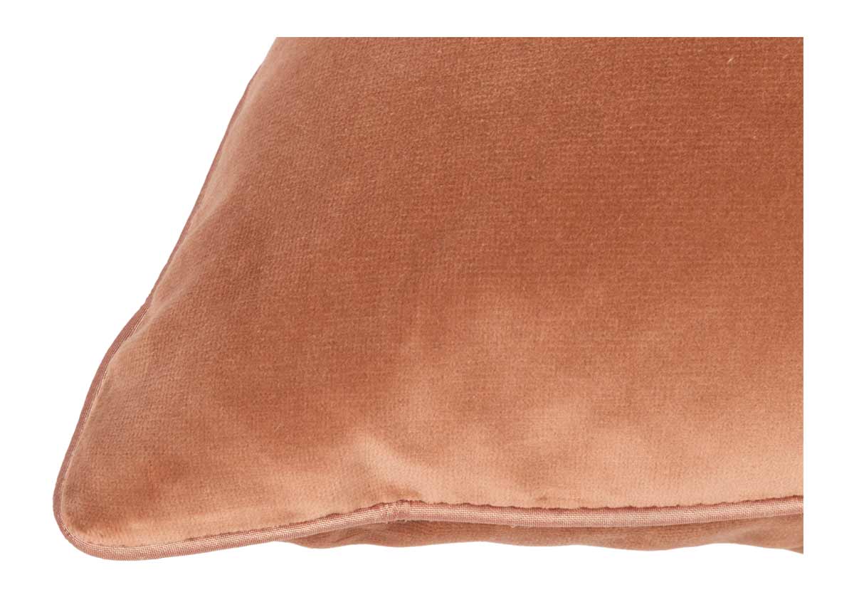 GIORGIO LAYLA | SHELL | SET OF 2
