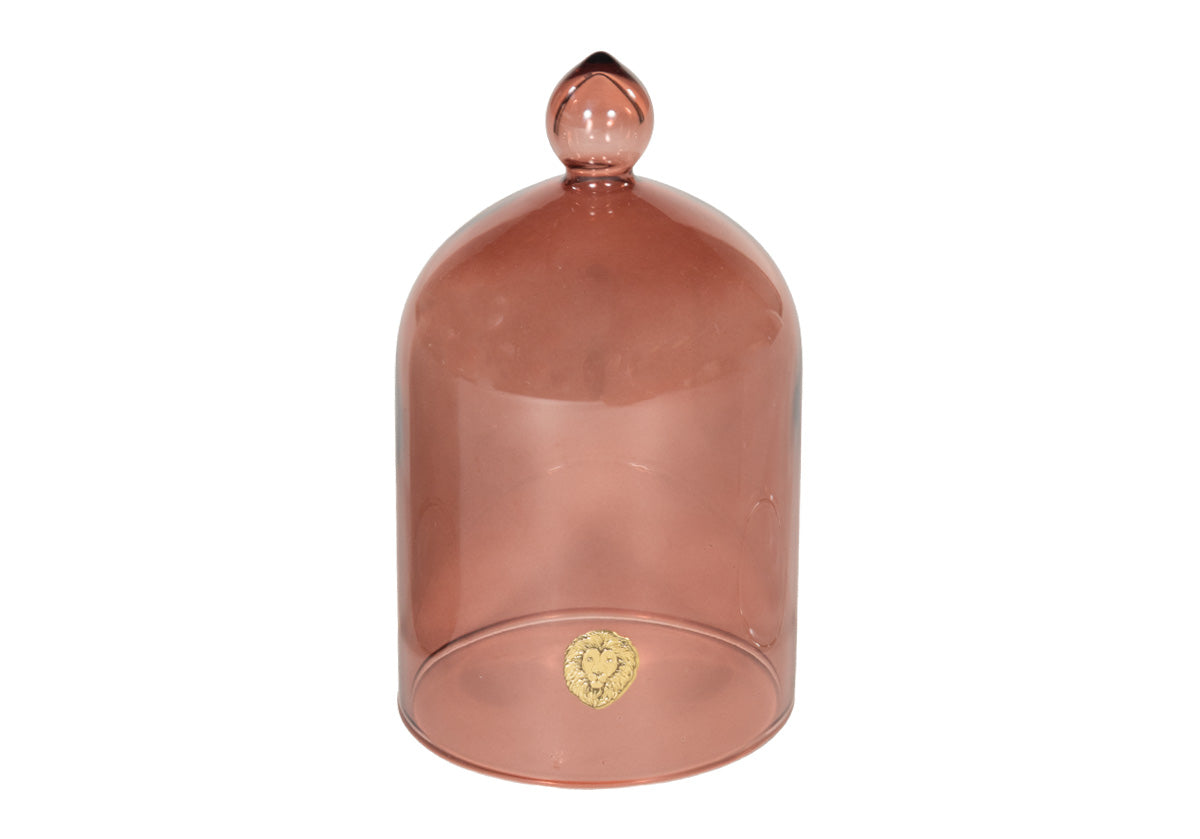 GLASS CLOCHE