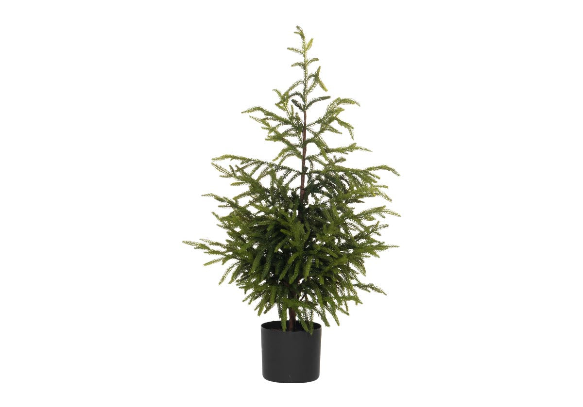 FIR TREE | Petite