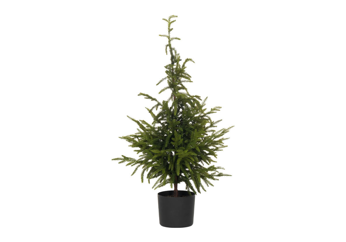 FIR TREE | Petite