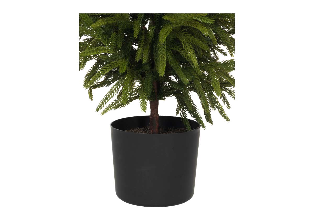 FIR TREE | Petite
