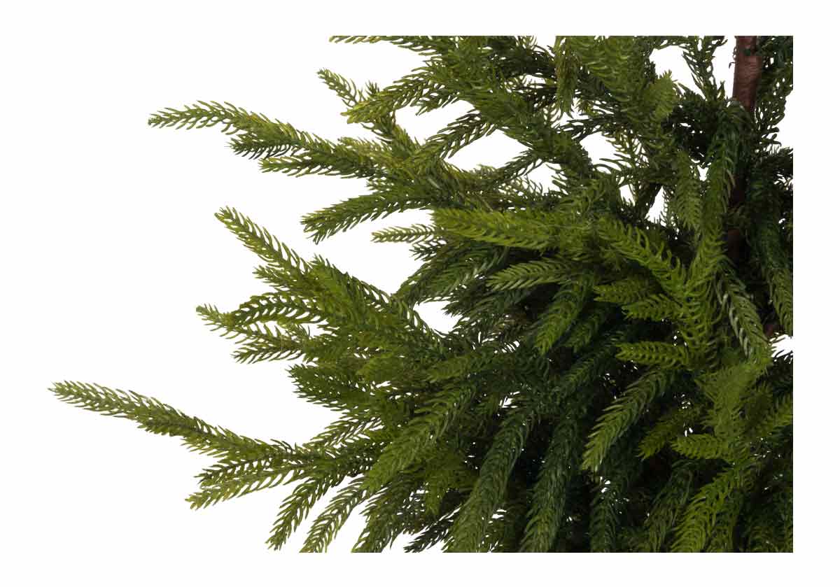 FIR TREE | Petite