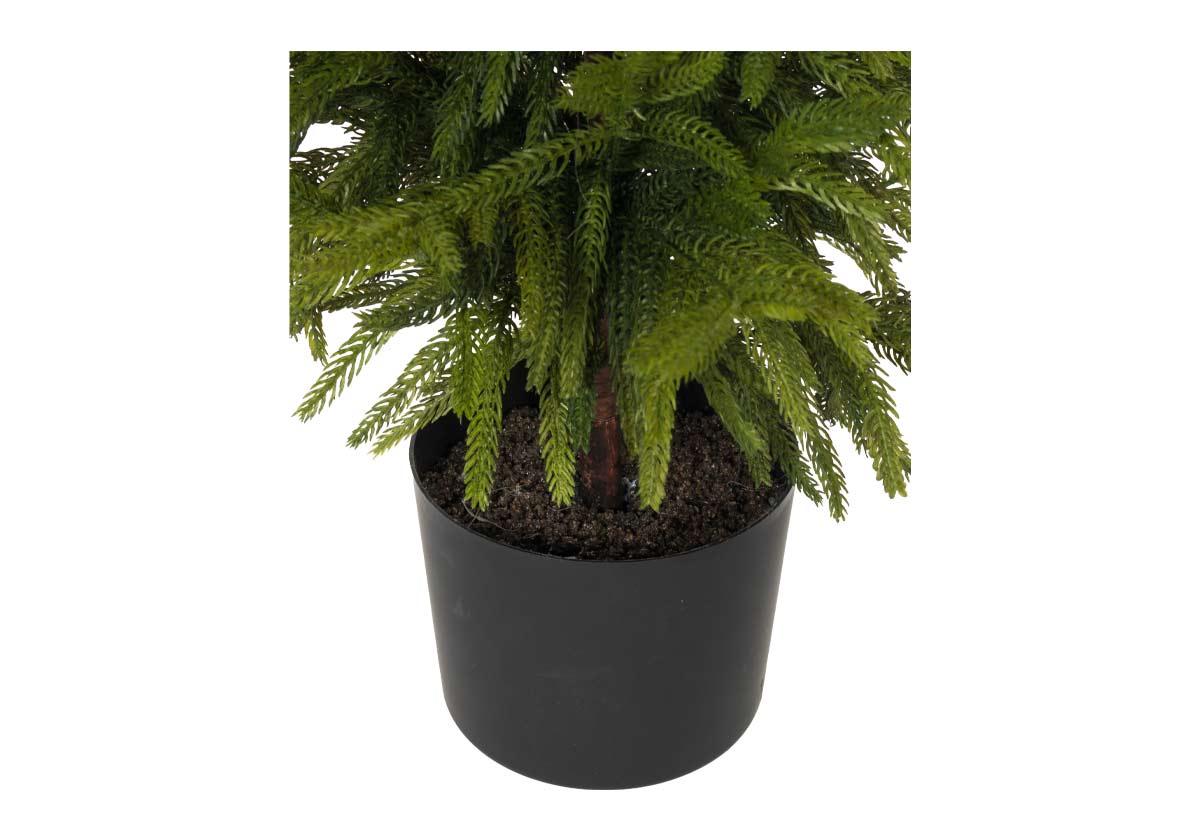 FIR TREE | Petite