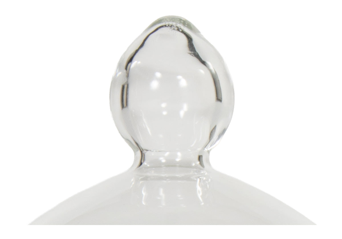 GLASS CLOCHE