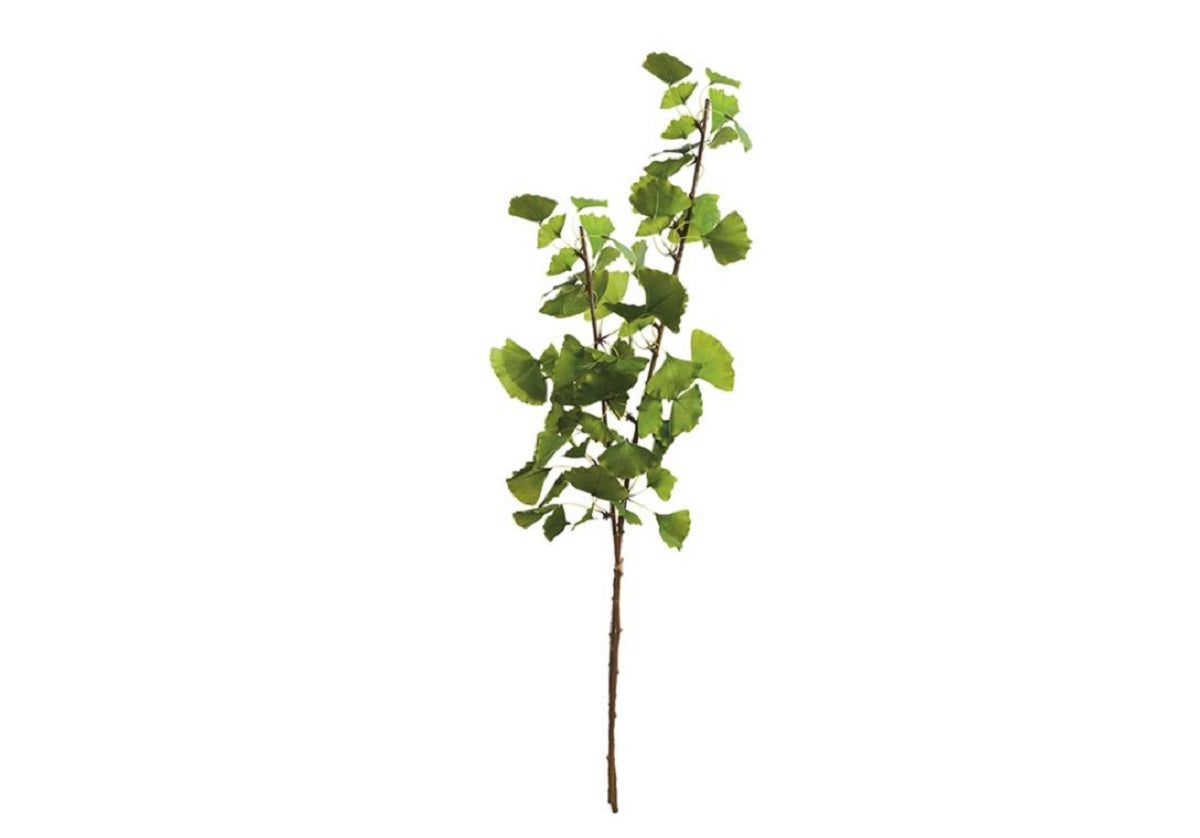 GINKGO BRANCH | Set of 2