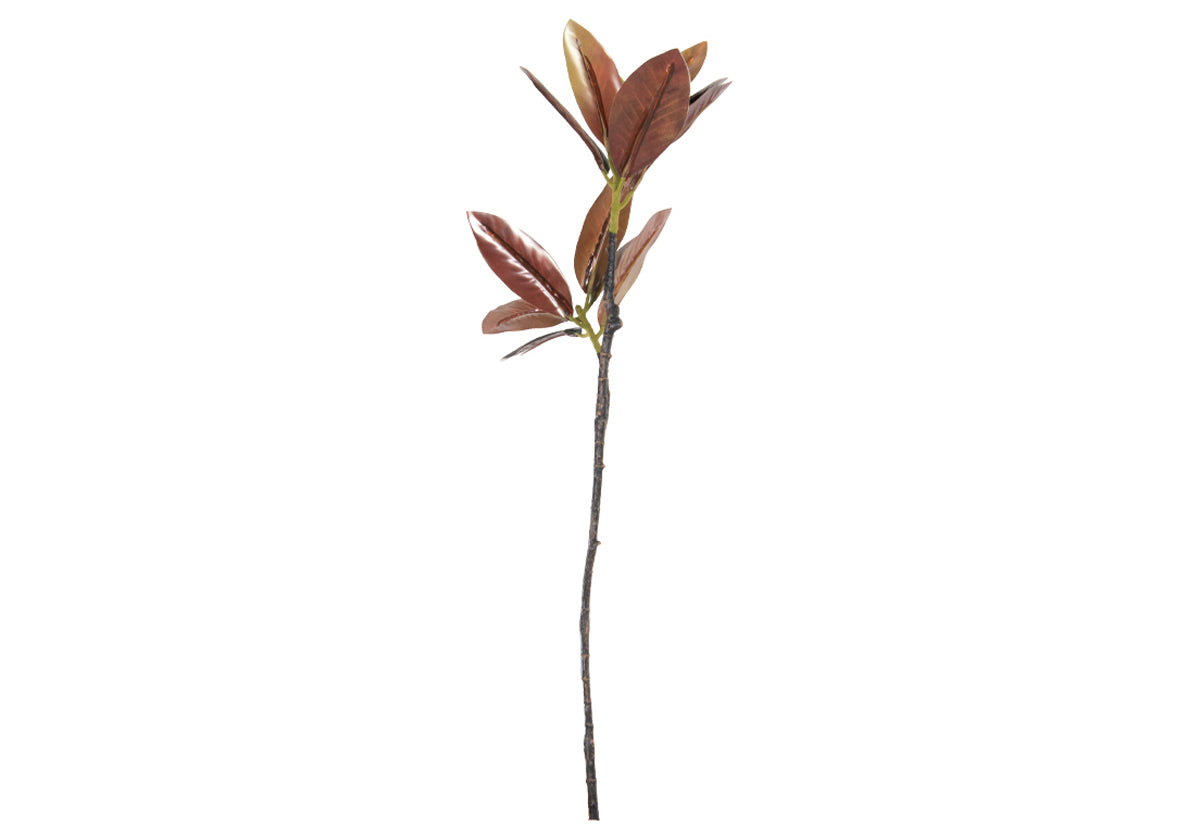 MAGNOLIA BRANCH