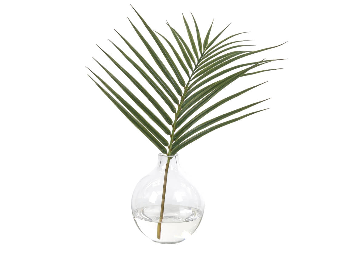 PALM FROND