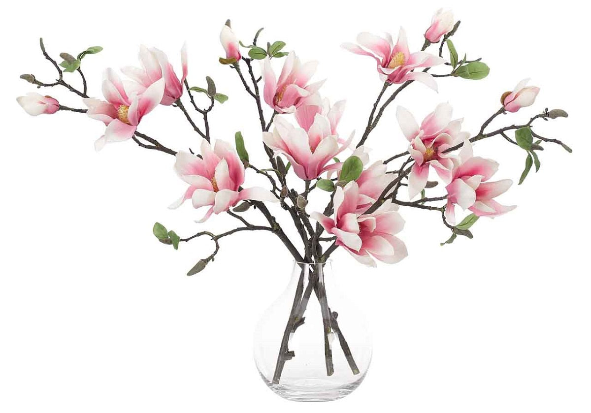 PINK MAGNOLIA